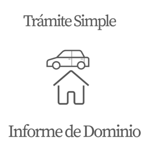 INFORME DE DOMINIO Simple (15 días)
